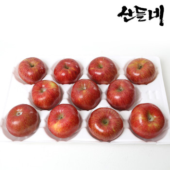 산들네 알뜰 사과 세트 3Kg 내외 / 11과