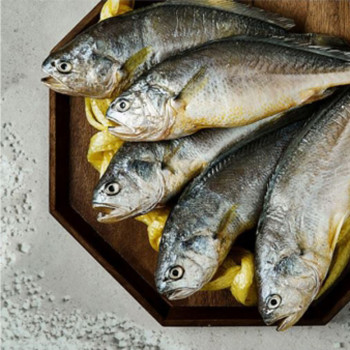 국산 영광 법성포 참굴비 1.2kg 20미 2세트