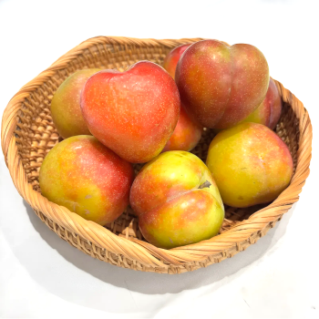 (산지직송) 25년 고당도 추희 햇자두 왕자두 3kg/5kg