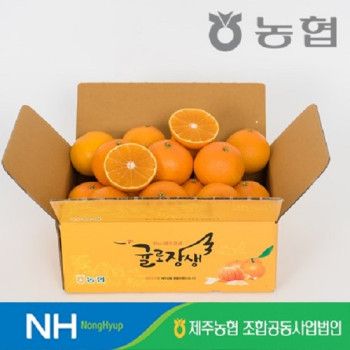 [누리는특가] 제주농협 제주 베니마돈나 황금향 2kg/4/kg