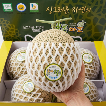 [딱! 7일 특가] 이가네과일야채 달고 맛있는 메론 1과 1.5kg내외