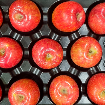 [명절선물] 명품 고당도 부사 사과 선물세트 3.5kg