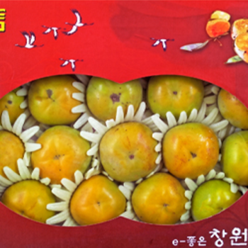 아삭 달콤 태추단감 선물세트 소 중 대 12과 2.5kg/ 3kg/ 3.5kg
