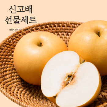 산지에서 바로 가져온 천안 아산 신고배 선물세트 7.5kg 9과 11과 과일선물 추석선물 명절선물 국산