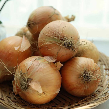 아삭아삭 달큰한 양파 (3kg/5kg)