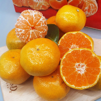 [산지직송] 새콤달콤 제주 노지 감귤  (3kg/4.5kg/9kg)