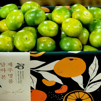 제주 조생종 노지감귤 실중량 9kg