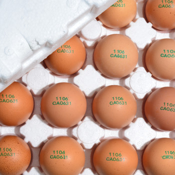 자연방사 [난각 1번] 무항생제 유정란 (20구/40구/60구)