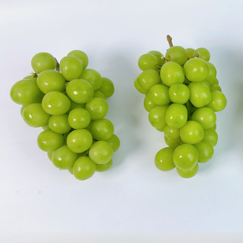 아삭한 식감 국내산 노지 샤인머스켓(1kg/2kg)