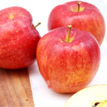 [혜인농원] 25년 햇사과 강원도 양구 펀치볼 꿀맛 천금 사과 5kg 소과 중과 대과