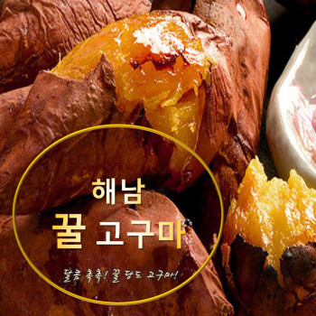 [25햇 꿀고구마] 해남 꿀고구마 베니하루카 3kg 5kg 10kg