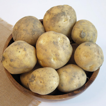 [가락시장] 당일경매 햇 수미감자 3Kg/5Kg/10Kg (크기선택)