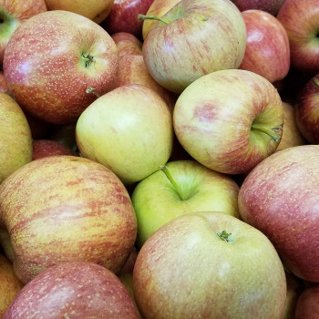 [향기담은] 경북사과 고당도 꿀부사 2kg/3kg/5kg (미색)