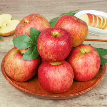 (경북영주 산지직송) 새콤달콤 가정용 부사 사과 (꼬마/소과/중과/대과) 2kg