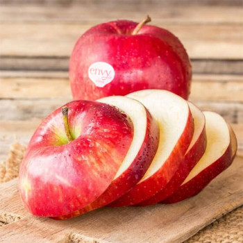 [베네팜] 국내산 고당도 엔비사과(사일레이트) 2kg/3kg/5kg (정품)