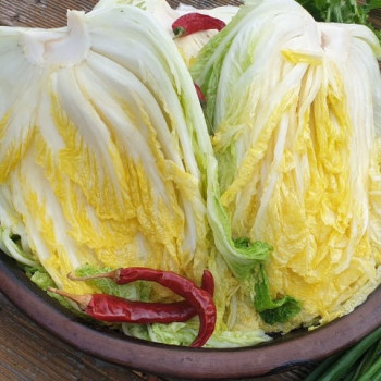 [누리는특가] GAP인증 해남 절임배추 20kg (배송일 지정 발송)