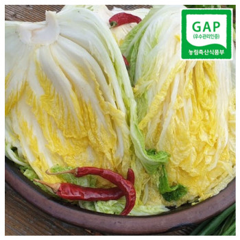 GAP인증 해남 절임배추 20kg (배송일 지정 발송)