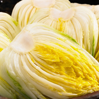 [예약판매]  해남 강원도 절임배추 10kg/ 20kg ( 6-9포기 ) 김장배추