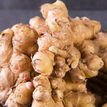 서산 황토밭 생강 1kg 3kg 5kg 7kg