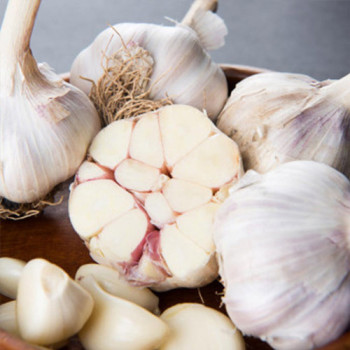 서산 황토밭 대서마늘  3kg 5kg 10kg