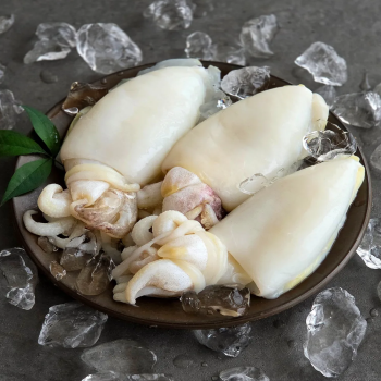 갑of갑 완벽손질 두툼 신선 갑오징어  내장뼈제거