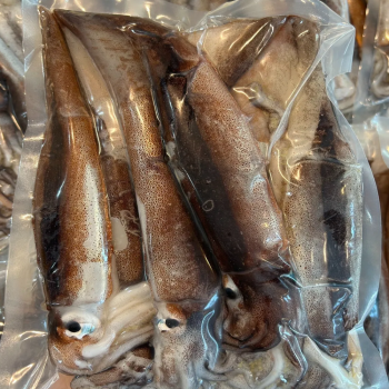 100%국내산 동해안 생물오징어  채낚기 급냉 1kg