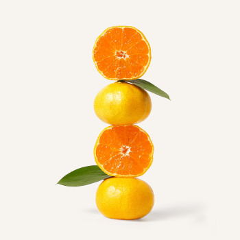 서귀포 산지직송 제주 노지 감귤 당도선별 고당도 12 브릭스  2.5kg