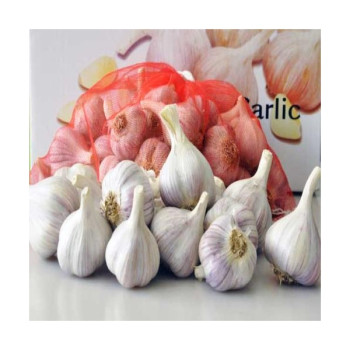 [인해]꿈꾸는의성마늘농원 의성 육쪽 통마늘 깐마늘 대 중 소 혼합 2kg 3kg