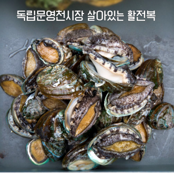 [누리는특가] 독립문영천시장 싱싱 활전복 1kg~ 성복수산