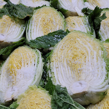 [예약배송] [HACCP 강원도] 청정 절임배추 20kg