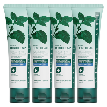 2080 덴티리프 고불소1450 구취케어 치약, 120g, 4개