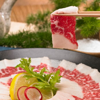 [청년미트] 1++등급 투뿔 한우 차돌 육사시미(생차돌박이) 300g/600g