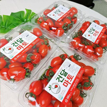 [고당도]스테비아 대추방울토마토 1kg(500g*2팩) 2kg(500g*4팩)