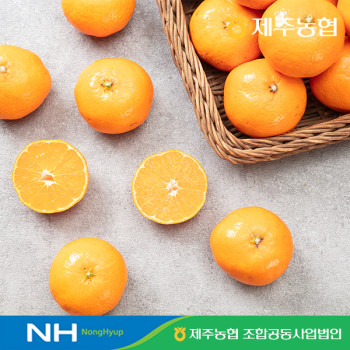 [누리는특가] 제주농협 조생 노지감귤 4.5kg 9kg 골라담기