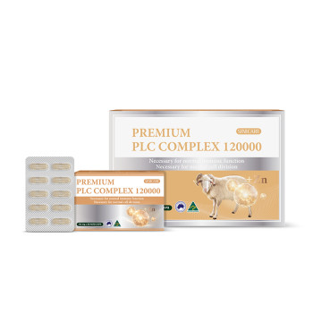 뉴질랜드 프리미엄 양태반 PLC 콤플렉스 (30정*3개) 3개월분