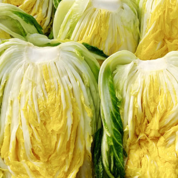 [클래식농원] GAP 괴산 햇 절임배추 20kg