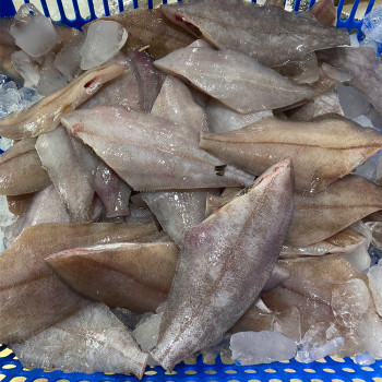 동해바다에서 조업한 기름 가자미(물가자미) 세꼬시 물회육수 세트 300g+초장100g 1팩+육수340g 1팩