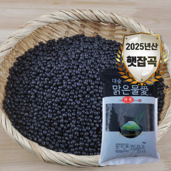 [대숲맑은물애] 25년산 쥐눈이콩 서목태 약콩 1kg~5kg