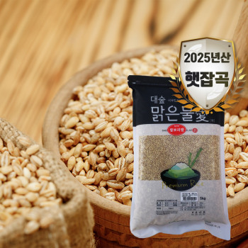[대숲맑은물애] 25년산 구수한맛 일품 찰보리쌀 1kg~5kg