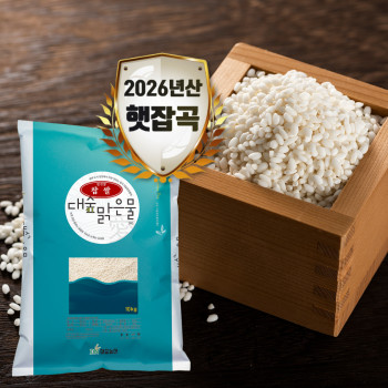 [대숲맑은물애] 26년햇곡 천년담양 찰진쌀 찹쌀 10kg