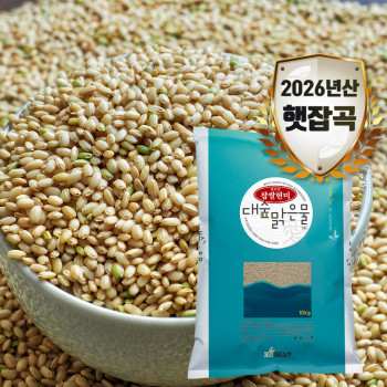 (농할) [대숲맑은물애] 26년햇곡 천년담양 웰빙푸드 찹쌀현미10kg