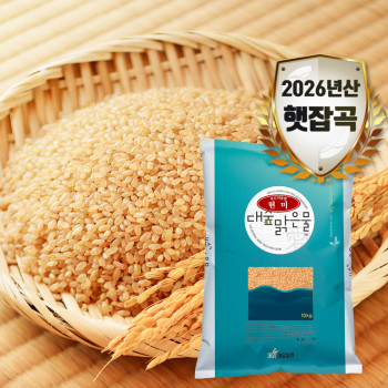 (농할) [대숲맑은물애] 26년햇곡 천년담양 영양 쌀 현미 10kg
