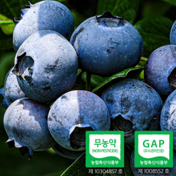 [웰루츠] 국내산_무농약 냉동 블루베리 500g×2ea