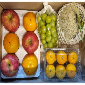 정성 가득 혼합과일 5종세트(메론/샤인/부사사과/단감/귤)