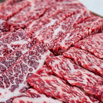 [안동본가] 최상급 투뿔한우 특수부위5종모듬 750g