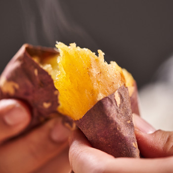 [부엌애] 햇고구마 해남 세척 꿀고구마 베니하루카 2kg~10kg