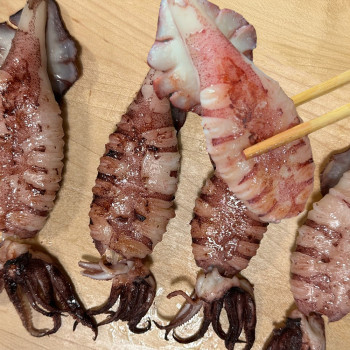 [미가원] 통찜용 총알 한치 500g/1kg/2kg