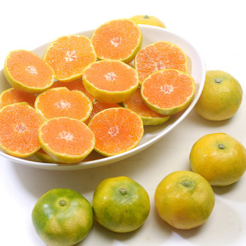 [미가원] 제주돌담 노지감귤 2.5kg/4.5kg/9kg