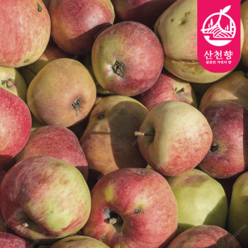 [산천향] 안동사과 꿀부사 (가정용) 2kg/3kg5kg