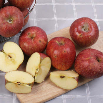 [산천향] 안동사과 세척 꿀부사(가정용) 2kg/3kg5kg